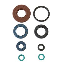 ENSEMBLE DE JOINTS D'HUILE MOTEUR ENGINE OIL SEALS KIT (ARTIC CAT)