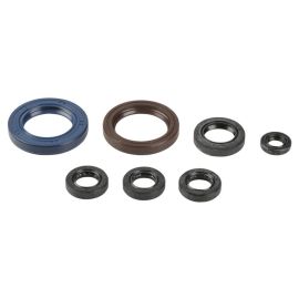 ENSEMBLE DE JOINTS D'HUILE MOTEUR ENGINE OIL SEALS KIT (KTM/POLARIS)