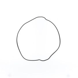 JOINT D'EMBRAYAGE CLUTCH GASKET (KTM)