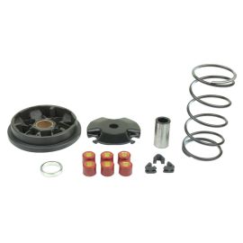 VARIATEUR SPEEDMATIC - MINARELLI