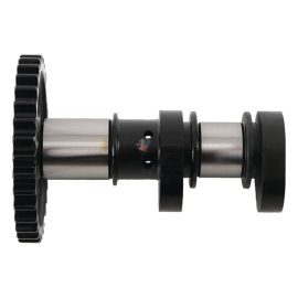 ABRE A CAM ADMISSION