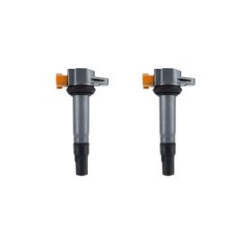 LOT DE 2 BOBINES D'ALLUMAGE CAPUCHON (SEA-DOO)