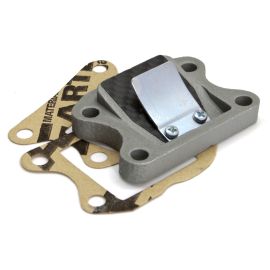 REED VALVE CARBONE S3R SPEEDFIGHT/VIVACITY 2009