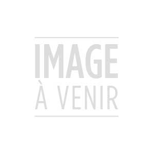 BOUGIE IRIDIUM AU LASER IFR6G-11K